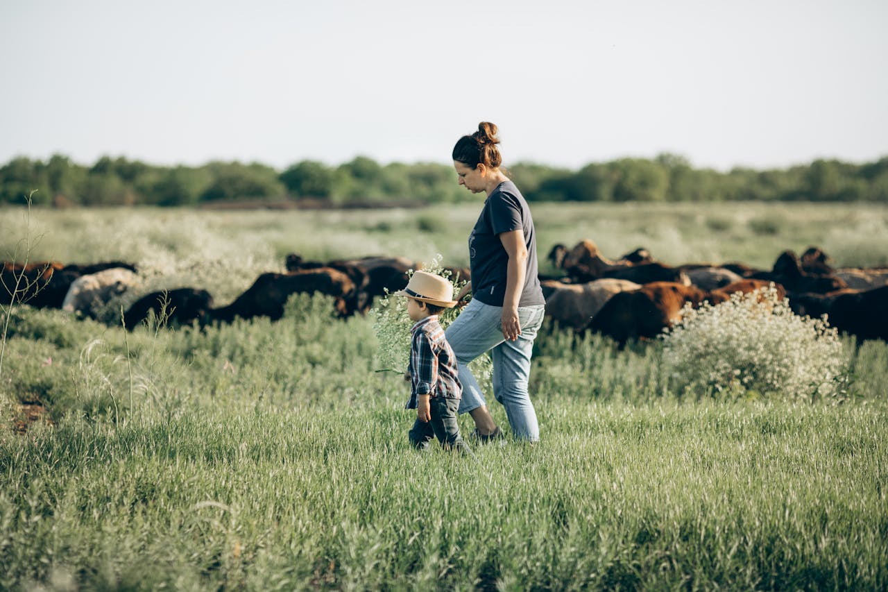 A woman and child walking together in a lush meadow with a flock of sheep in the background.