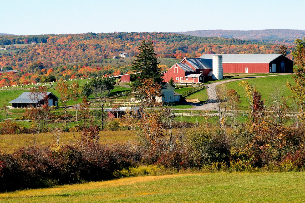 Picturesque fall landscape of a rural farm in New York with vibrant foliage.